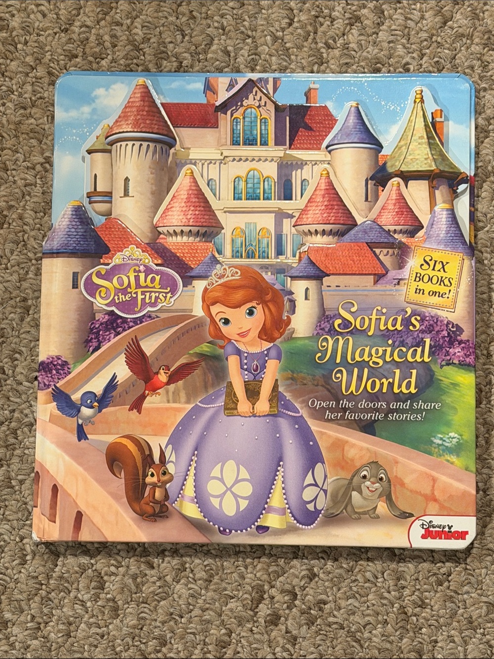 Disney Junior Sofia the First Purple Princess Storybook - Sofia's Magical World